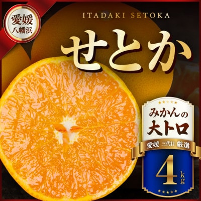 三代目の柑橘の大トロ【せとか】4kg　サイズ:L～4L混合【E31-52】