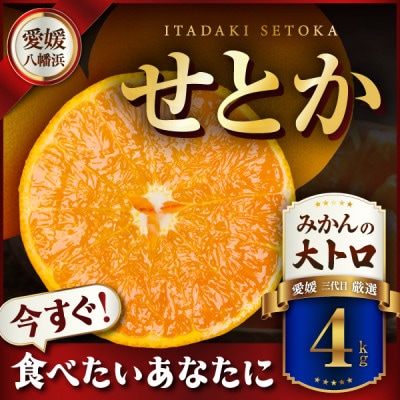 三代目の柑橘の大トロ【せとか】4kg　サイズ:L～4L混合【E31-52】
