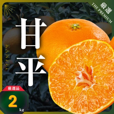 【愛媛限定】驚きの甘さ!幻の柑橘《甘平》2kg(M～3L玉混合)【D31-55】