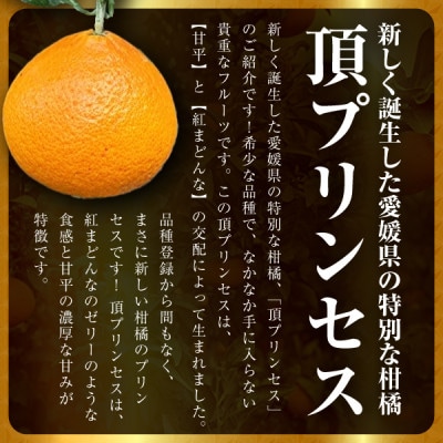 【紅プリンセス同品種】愛媛県産 新品種柑橘 愛果48号【甘平×まどんな】2kg【D31-56】