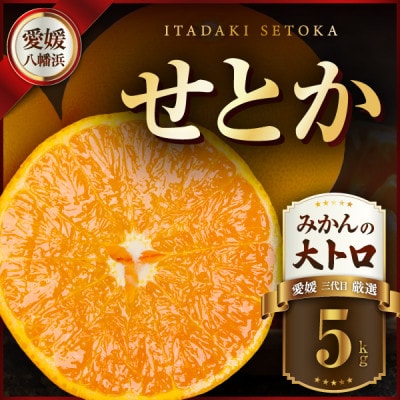 三代目の柑橘の大トロ【せとか】5kg【H31-66】