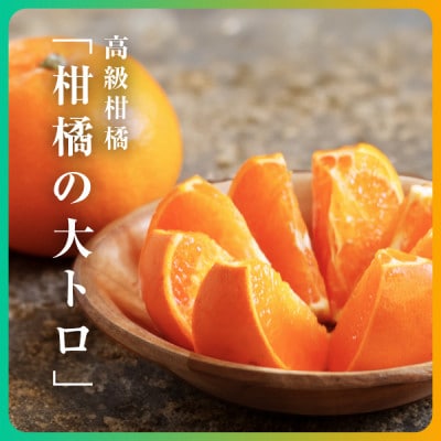 三代目の柑橘の大トロ【せとか】5kg【H31-66】