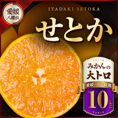 三代目の柑橘の大トロ【せとか】10kg【H31-65】