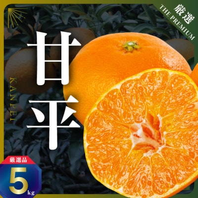 三代目の甘平5kg【H31-64】