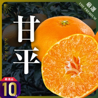 三代目の甘平10kg【H31-63】