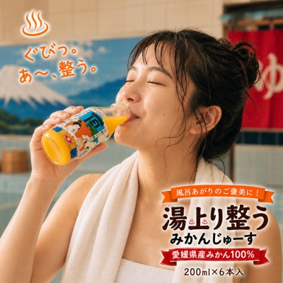 【さとふる限定】湯上り整う頂みかんジュース(200ml×6本) 【31-68】