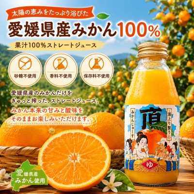 【さとふる限定】湯上り整う頂みかんジュース(200ml×6本) 【31-68】