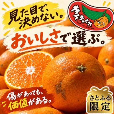 【さとふる限定】やんちゃくれ みかん 約5kg【31-69】