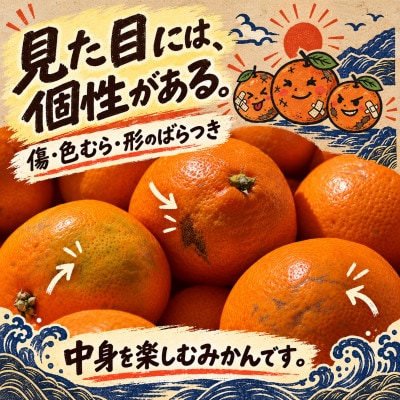 【さとふる限定】やんちゃくれ みかん 約5kg【31-69】