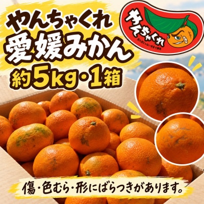 【さとふる限定】やんちゃくれ みかん 約5kg【31-69】