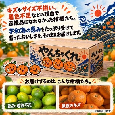【さとふる限定】やんちゃくれ みかん 約5kg【31-69】