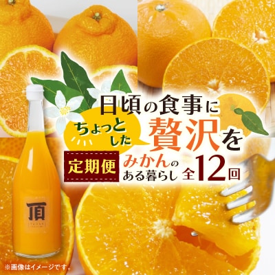 【発送月固定定期便】みかんのある暮らし全12回【H31-33】