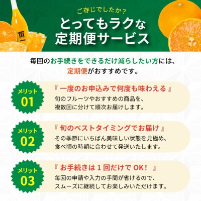 【発送月固定定期便】みかんのある暮らし全12回【H31-33】