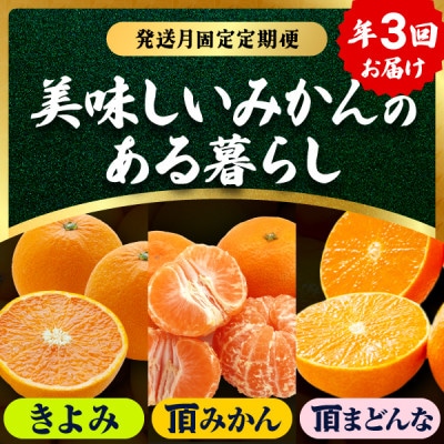 【発送月固定定期便】美味しいみかん柑橘のある暮らし【みかん・まどんな・きよみ】【G31-42】全3回