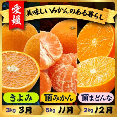 【発送月固定定期便】美味しいみかん柑橘のある暮らし【みかん・まどんな・きよみ】【G31-42】全3回
