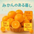 【発送月固定定期便】美味しいみかん柑橘のある暮らし【みかん・まどんな・せとか】【G31-43】全3回