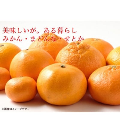 【発送月固定定期便】美味しいみかん柑橘のある暮らし【みかん・まどんな・せとか】【G31-43】全3回