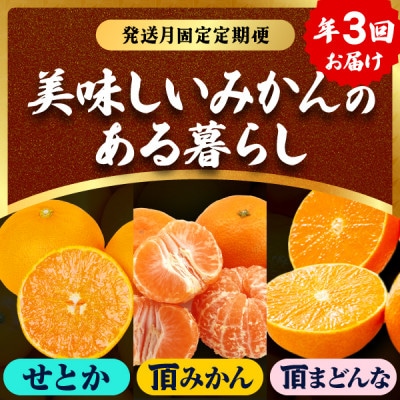 【発送月固定定期便】美味しいみかん柑橘のある暮らし【みかん・まどんな・せとか】【G31-43】全3回