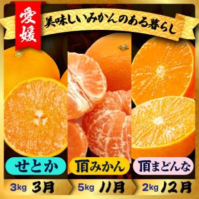 【発送月固定定期便】美味しいみかん柑橘のある暮らし【みかん・まどんな・せとか】【G31-43】全3回