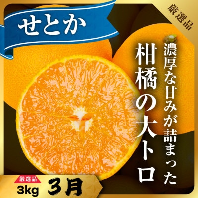 【発送月固定定期便】美味しいみかん柑橘のある暮らし【みかん・まどんな・せとか】【G31-43】全3回