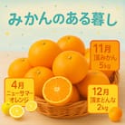 【発送月固定定期便】美味しい柑橘【みかん・まどんな・ニューサマーオレンジ】【G31-44】全3回
