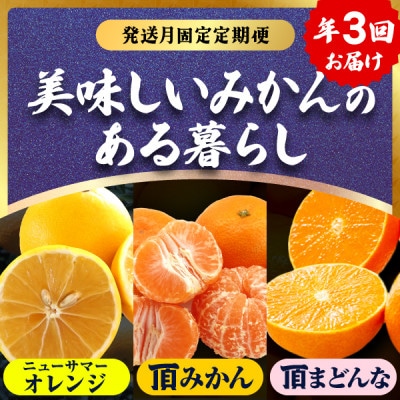 【発送月固定定期便】美味しい柑橘【みかん・まどんな・ニューサマーオレンジ】【G31-44】全3回