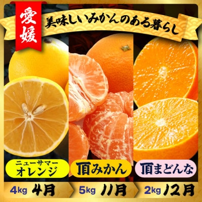 【発送月固定定期便】美味しい柑橘【みかん・まどんな・ニューサマーオレンジ】【G31-44】全3回