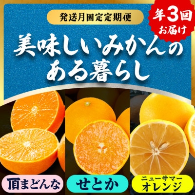 【発送月固定定期便】美味しい柑橘【まどんな・せとか・ニューサマーオレンジ】【G31-45】全3回