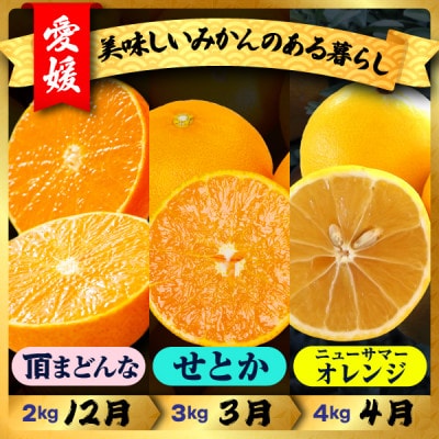 【発送月固定定期便】美味しい柑橘【まどんな・せとか・ニューサマーオレンジ】【G31-45】全3回
