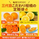 【発送月固定定期便】柑橘【みかん・まどんな・せとか・ニューサマーオレンジ】【H31-46】全4回