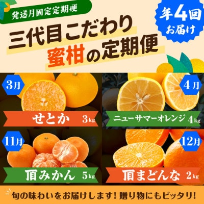 【発送月固定定期便】柑橘【みかん・まどんな・せとか・ニューサマーオレンジ】【H31-46】全4回
