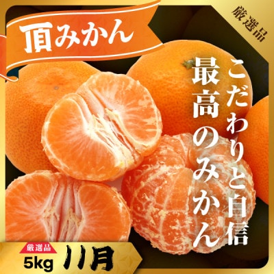 【発送月固定定期便】柑橘【みかん・まどんな・せとか・ニューサマーオレンジ】【H31-46】全4回