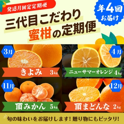 【発送月固定定期便】柑橘【みかん・まどんな・きよみ・ニューサマーオレンジ】【H31-47】全4回