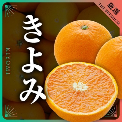 【発送月固定定期便】柑橘【みかん・まどんな・きよみ・ニューサマーオレンジ】【H31-47】全4回