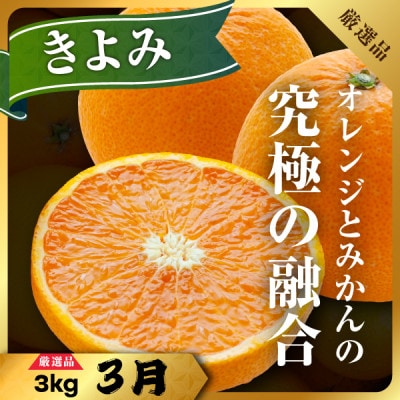 【発送月固定定期便】柑橘【みかん・まどんな・きよみ・ニューサマーオレンジ】【H31-47】全4回