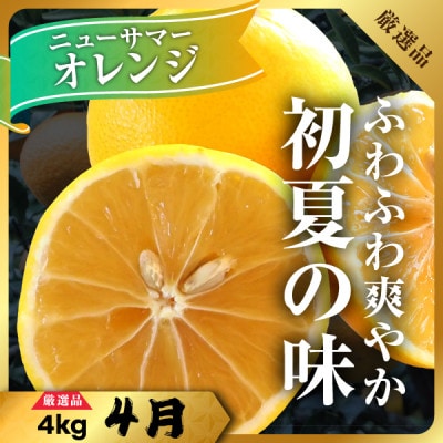 【発送月固定定期便】柑橘【みかん・まどんな・きよみ・ニューサマーオレンジ】【H31-47】全4回