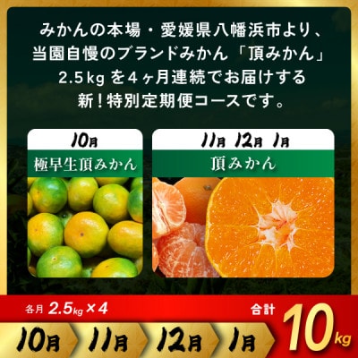 【発送月固定定期便】【4ヶ月連続】旬ごとに味わいが変化!頂みかん 2.5kg【G31-58】全4回