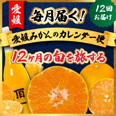 【発送月固定定期便】毎月届く!みかんのカレンダー便　～12ヶ月の旬を旅する～【H31-62】全12回