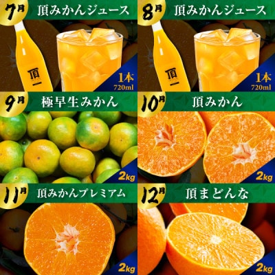 【発送月固定定期便】毎月届く!みかんのカレンダー便　～12ヶ月の旬を旅する～【H31-62】全12回