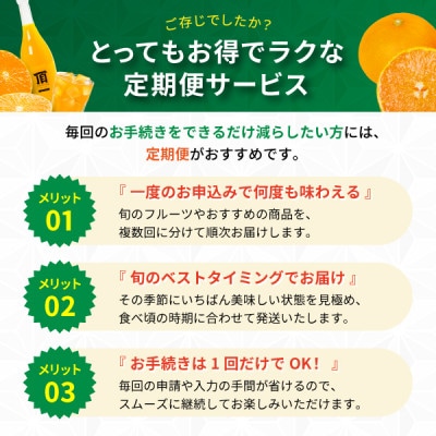 【発送月固定定期便】毎月届く!みかんのカレンダー便　～12ヶ月の旬を旅する～【H31-62】全12回
