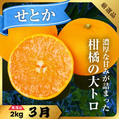 【発送月固定定期便】【冬のご褒美定期便】まどんな・甘平・せとか 3種食べ比べ【H31-67】全3回
