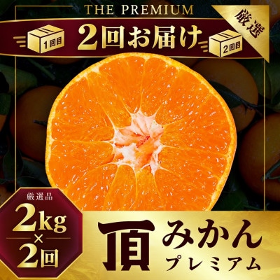 【発送月固定定期便】頂みかんTHEプレミアム【小玉サイズ】2kg【31-74】全2回