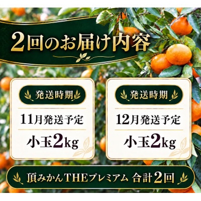 【発送月固定定期便】頂みかんTHEプレミアム【小玉サイズ】2kg【31-74】全2回