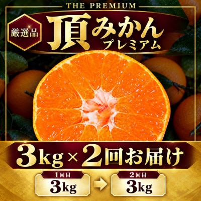 【発送月固定定期便】頂みかんTHEプレミアム【小玉サイズ】3kg【31-73】全2回