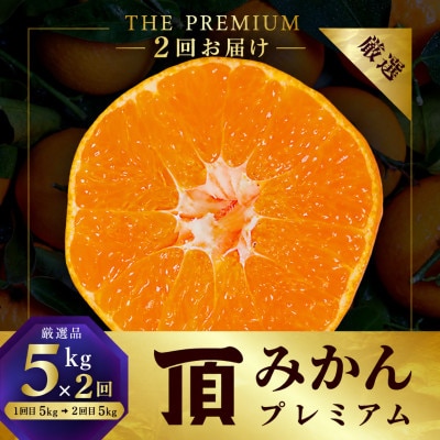 【発送月固定定期便】頂みかんTHEプレミアム【小玉サイズ】5kg【31-72】全2回