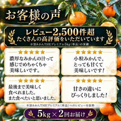 【発送月固定定期便】頂みかんTHEプレミアム【小玉サイズ】5kg【31-72】全2回