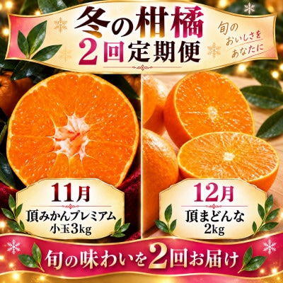 【発送月固定定期便】頂みかんプレミアム小玉3kg&頂まどんな2kg|食べ比べ【31-71】全2回