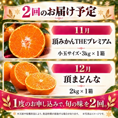 【発送月固定定期便】頂みかんプレミアム小玉3kg&頂まどんな2kg|食べ比べ【31-71】全2回