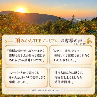 【発送月固定定期便】頂みかんプレミアム小玉3kg&頂まどんな2kg|食べ比べ【31-71】全2回