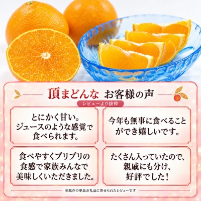 【発送月固定定期便】頂みかんプレミアム小玉3kg&頂まどんな2kg|食べ比べ【31-71】全2回